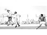     1976 